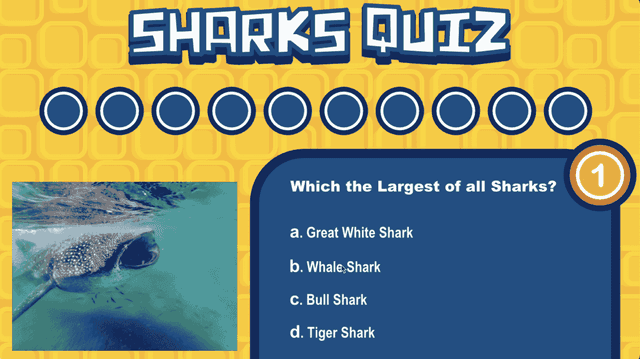 Sharks Quiz
